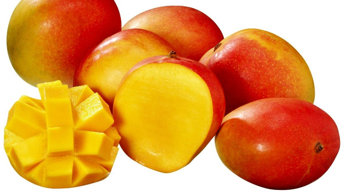Grandma’s mangoes