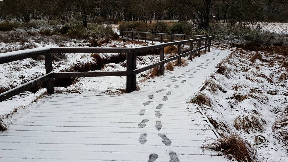 Pictures: Submissions made from Barrington Tops Snow Chasers