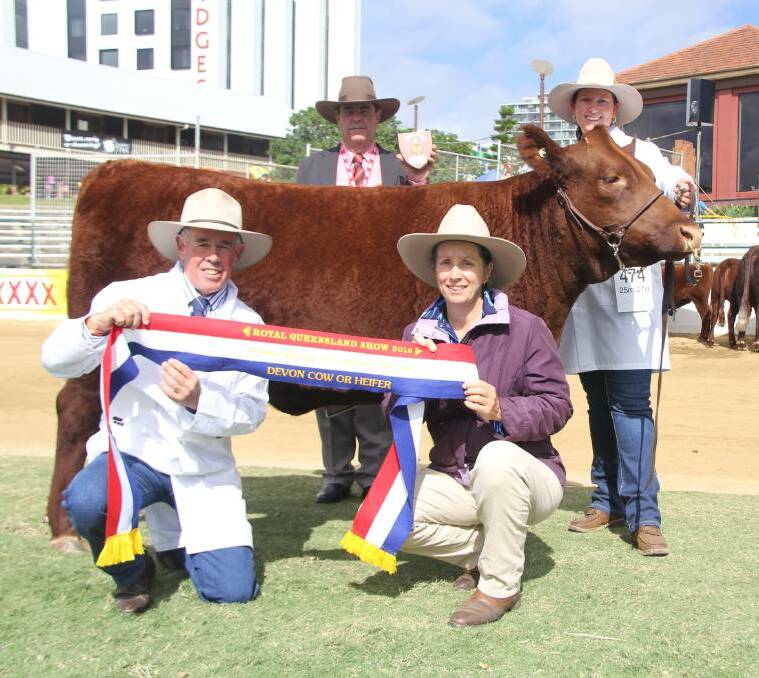 Mark Coombes, Mograni Devons, with grand champion Devon cow Mograni Kay, Robyn Verney, Lister Devon Stud, Elders’ Brian Kennedy and fitter Nicole Hartwig.