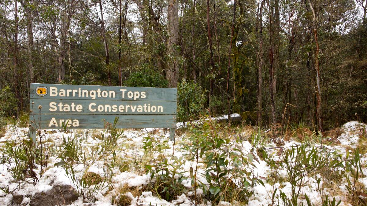 Safety warning for Barrington Tops snow this weekend