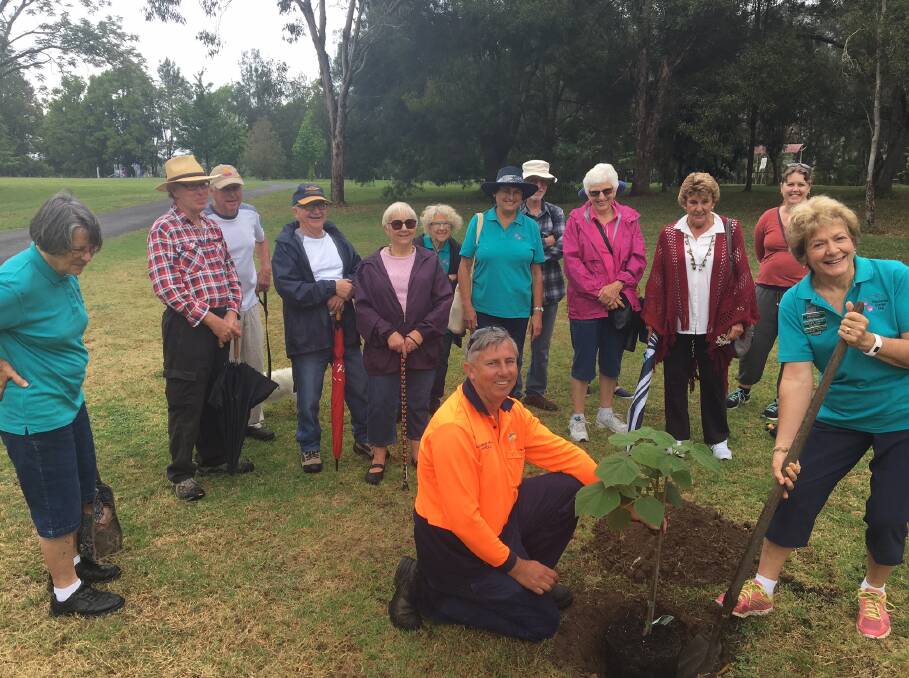 Ian Jackson and Shirley Hazell plating a blue flowering Paulownia tree in the park to commemorate the inaugural National Gardening Week. Photo supplied