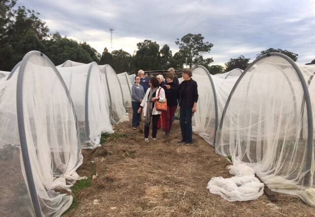 New additions: Locals growers checking out some of the vegetable garden beds at the Tucker Patch. Photo: Supplied