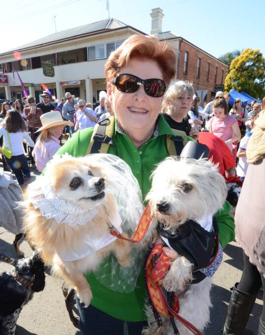 BEST DRESSED PUPS: Del Buckton and her superbly outfitted pooches Jack and Sonny were stand-out competitors at last year's Canine Capers Novelty Dog Show.