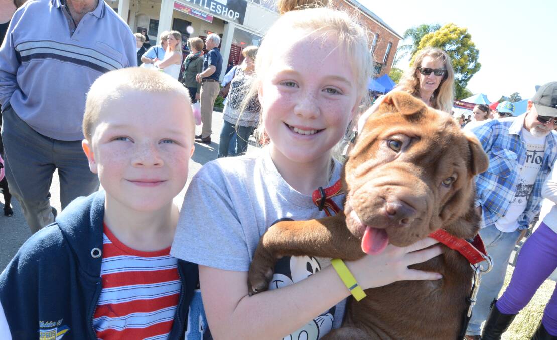 CUTE AND CUDDLY: The Baker family's cute and cuddly pup was one of many distinguished pooches to compete at last year's Chill Out festival dog show in Gloucester.
