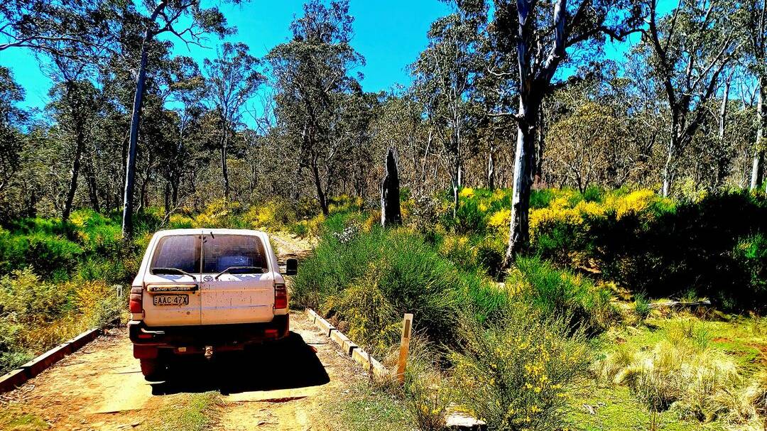 The Long Way to Walcha fundraising 4WD trip will start at Barrington and go through Barrington Tops. Picture supplied