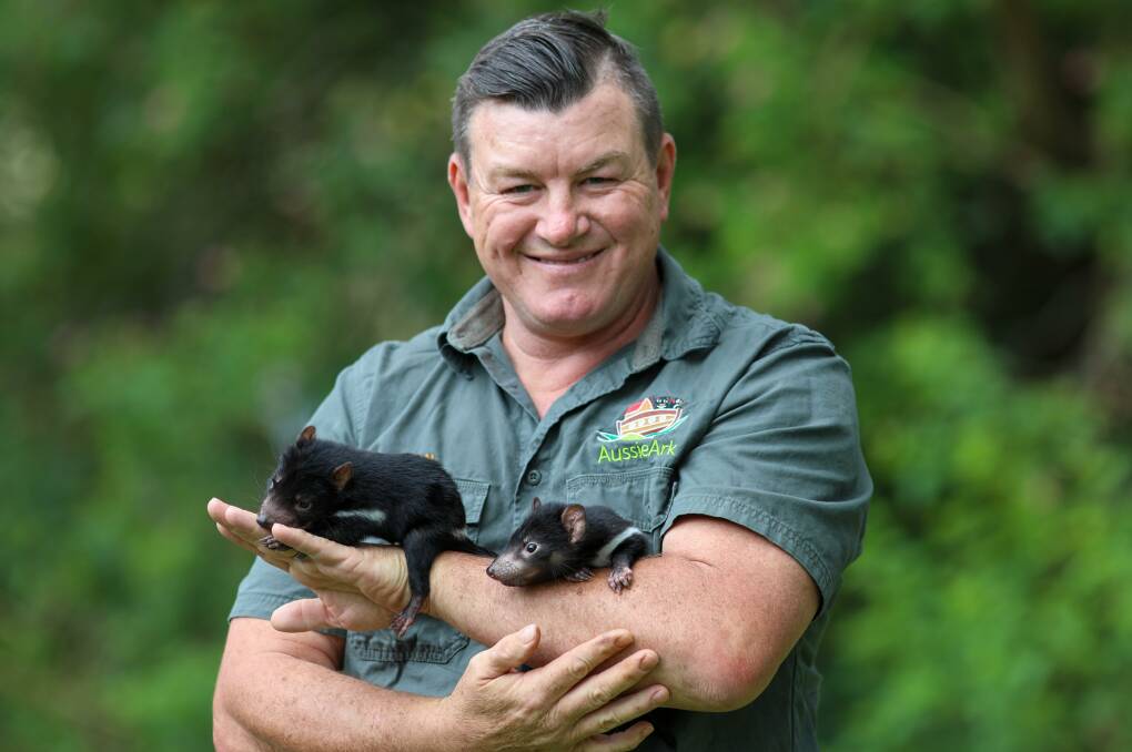 Aussie Ark operations manager Dean Reid with Tasmanian devil joeys, Knuckle and Blaze. Picture by Aussie Ark.