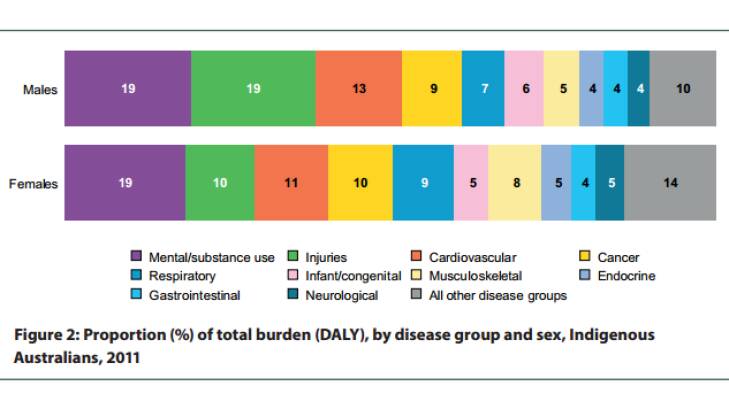 The total health burden of various disease groups on Indigenous Australians. Photo: Australian Institute of Health and Welfare