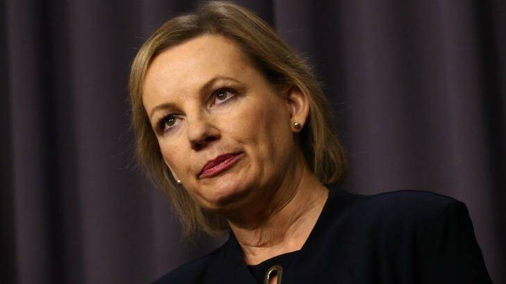 Health Minister Sussan Ley announced the $5 billion plan on Saturday. Photo: Andrew Meares