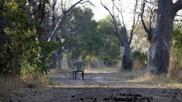 Gone: Abandoned chair in avenue of trees in Oombulgurri.