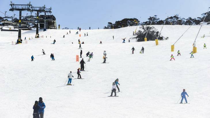 Skiers and Snowboarders in Perisher's front valley.  Photo: Rohan Thomson