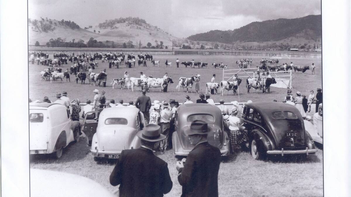A view of the main ring taken from the hill at the 1950 Gloucester Show. 
