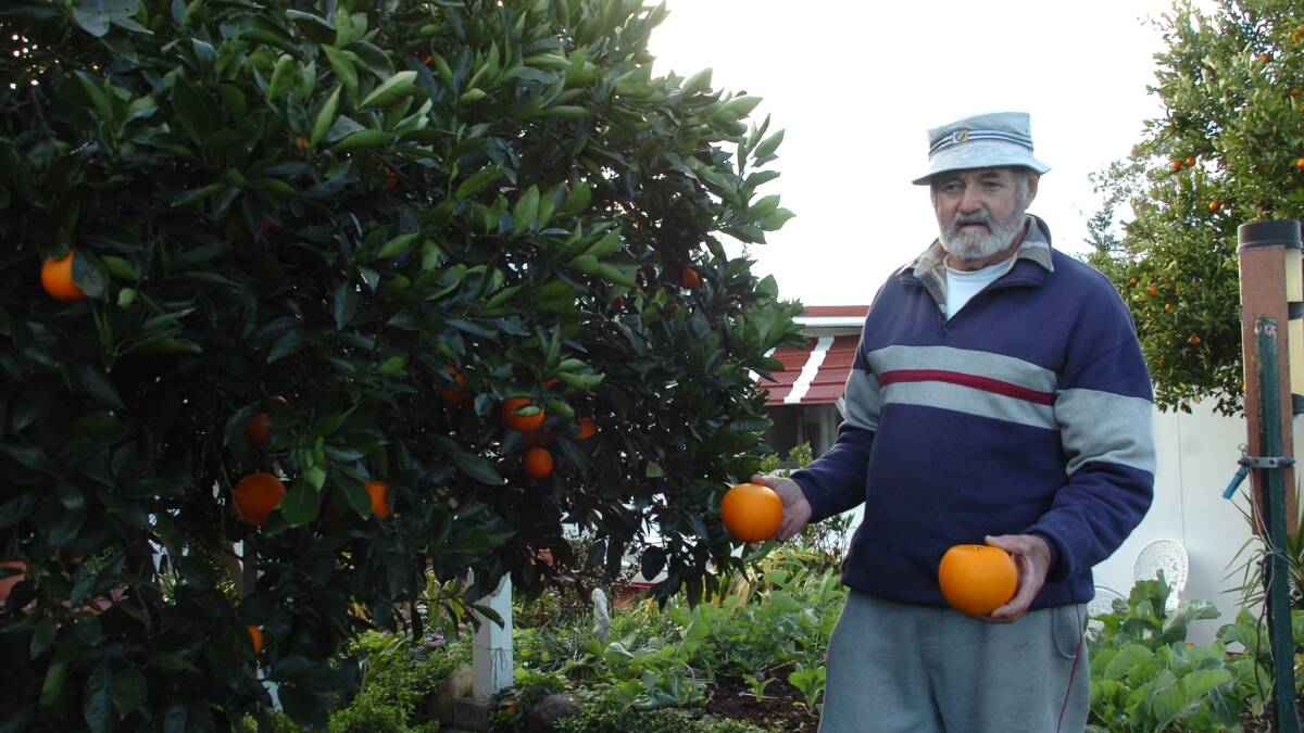 Keith Berry with his two jumbo-sized oranges.
