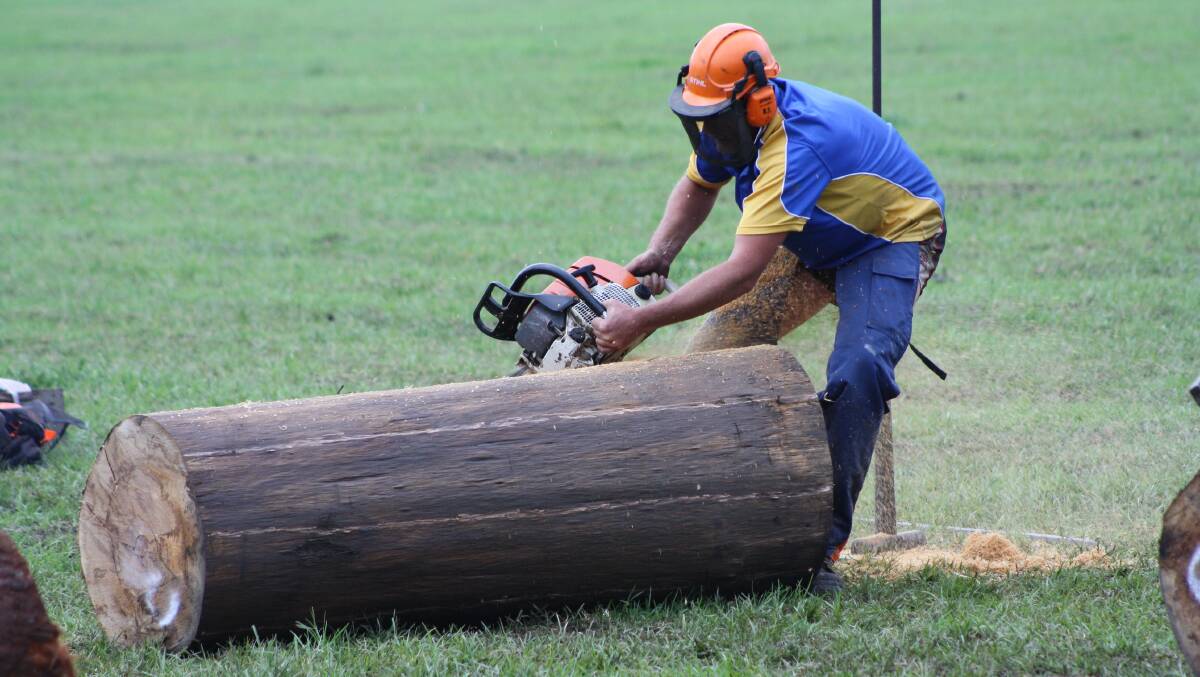Chainsaw racing in the main ring.