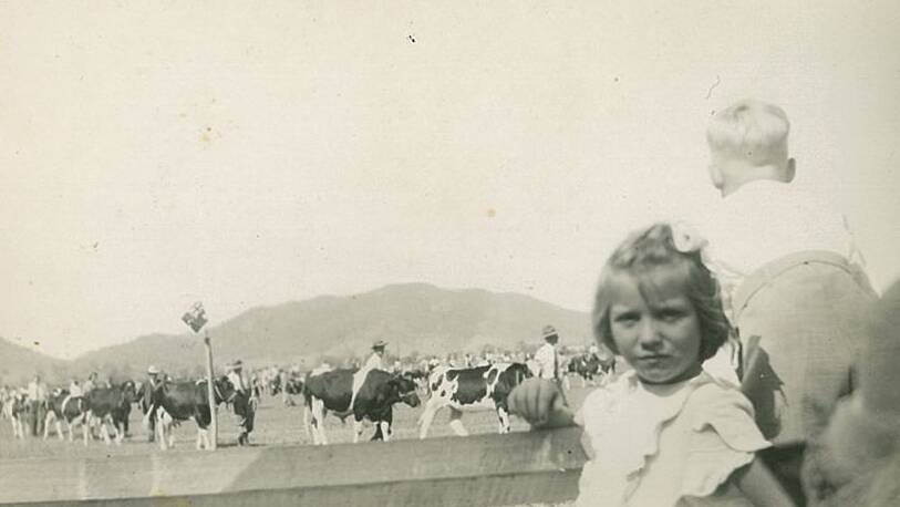 An undated picture of children watching the Grand Parade at the Gloucester Show.