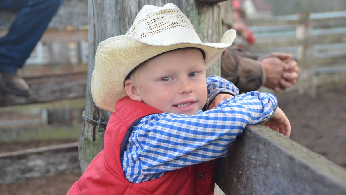 Lachlan Sansom at the Willawarrin Campdraft and Rodeo at the weekend. Picture by Penny Tamblyn.