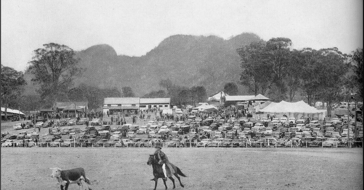 A rodeo at the Gloucester Showground in the early 1950s.