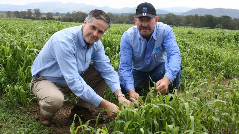 AGL's former head of upstream gas Mike Moraza with AGL's Andrew Lenehan and some of the crops grown with the blended water.
