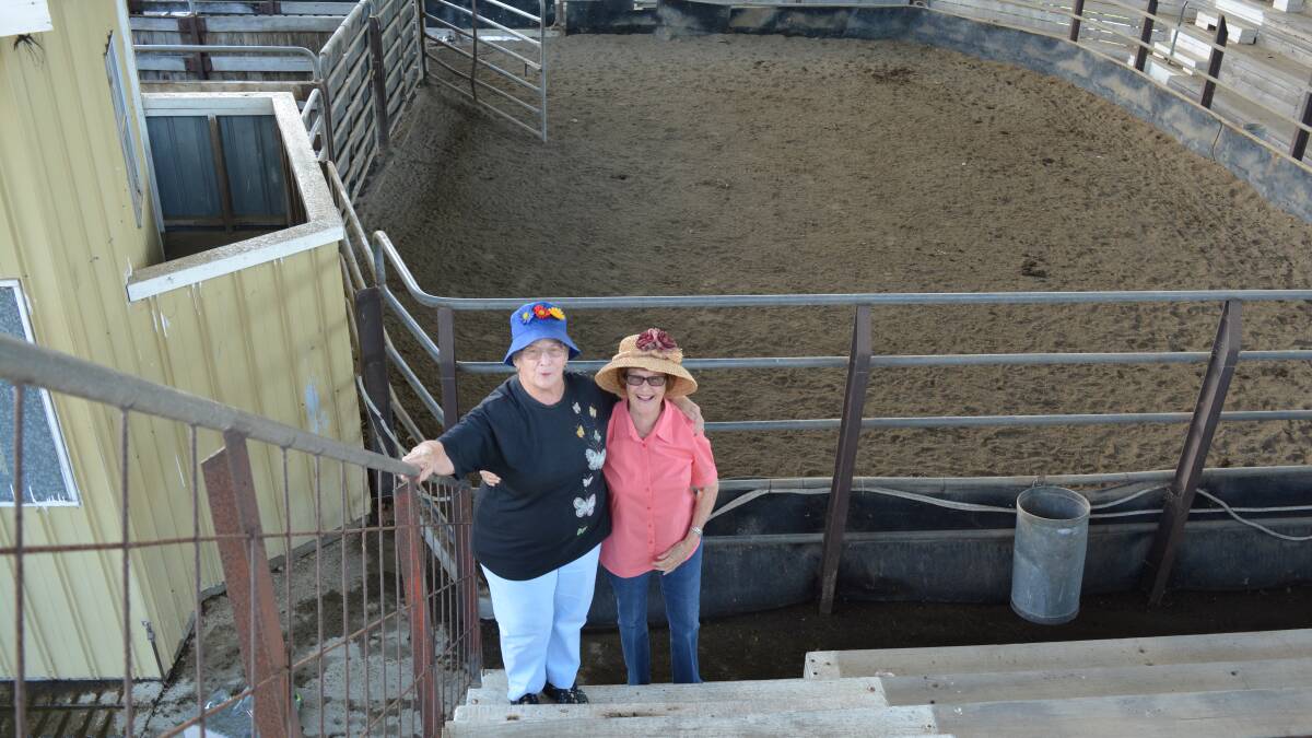 Gabby Colquhoun and Claire Reynolds at Gloucester Saleyards ahead of their performance this Saturday.