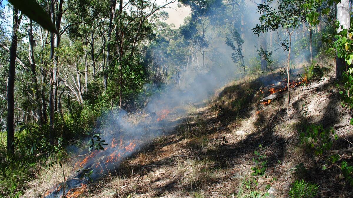 File pics: National Parks crews are undertaking a two-day hazard reduction burn at The Glen Nature Reserve near Craven.