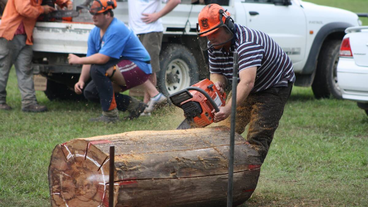 Chainsaw racing in the main ring.