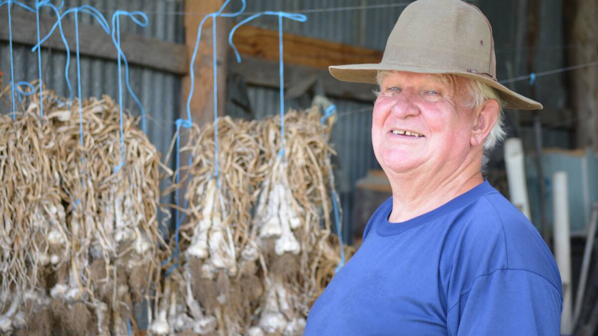 Victorian gold gong for local garlic