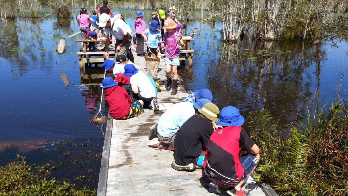 Wingham Public School students enjoying the activity at Cattai Wetlands this time last year.