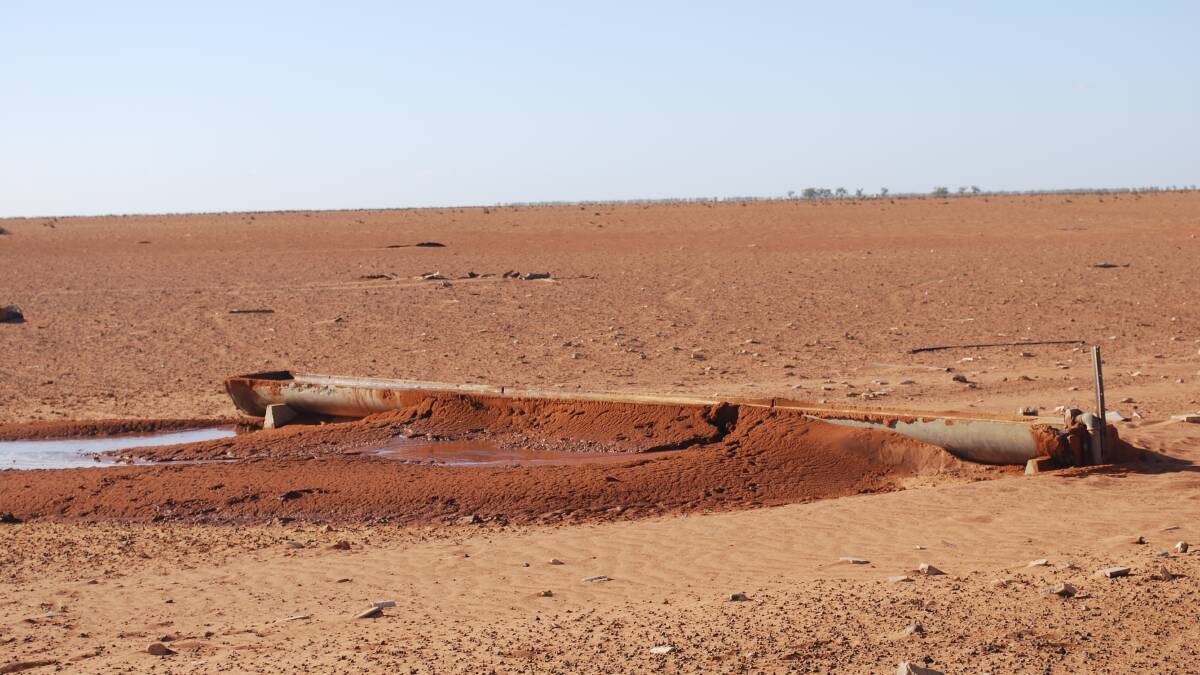 Drought conditions at "Barwonnie", Mossgiel, NSW are a not-so-distant memory. Picture: Di Huntly