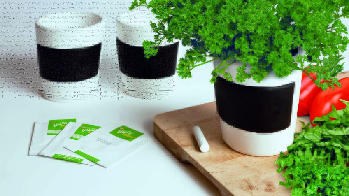 GROW: A herb kit can be one way to start your herb garden. The Mr Fothergill's kit comes complete with chalk to label your pots. Photo: SUPPLIED.