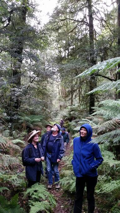 Wilderness: Stef Pillora, Penny Drake-Brockman, Uli Beer, Jeff Kite and Celia Giles during the group walk.