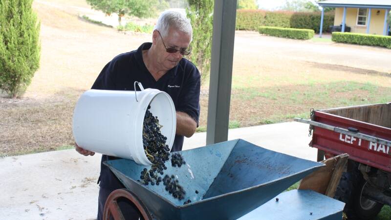 John Tugwood processes Chambourcin grapes at his vineyard near Gloucester late last month.