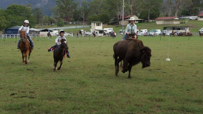Brady Johnston on Woky is carefully guided by Luci and Jazmin Neilson during the bison challenge.