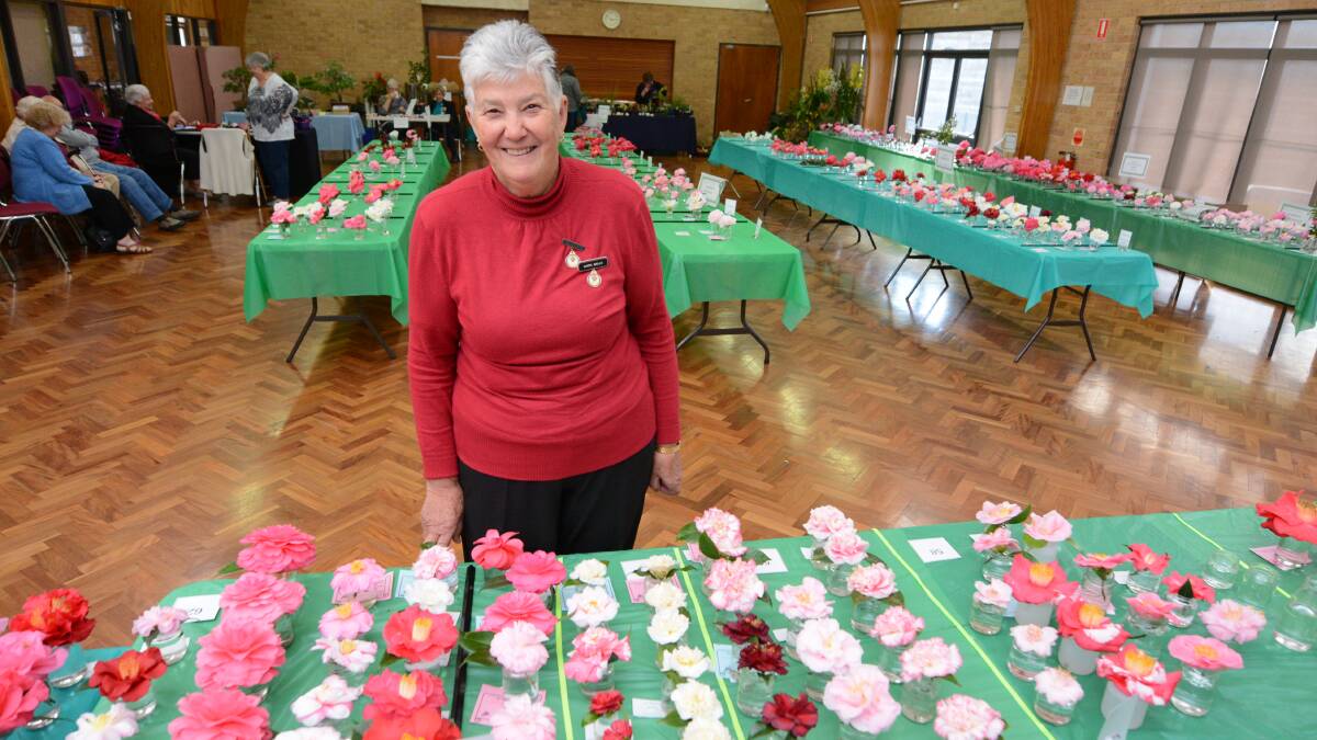 Taree Garden Club member Daryl Wells with some of the camellias on display at the 2015 show. The show is now celebrating 38 years. 