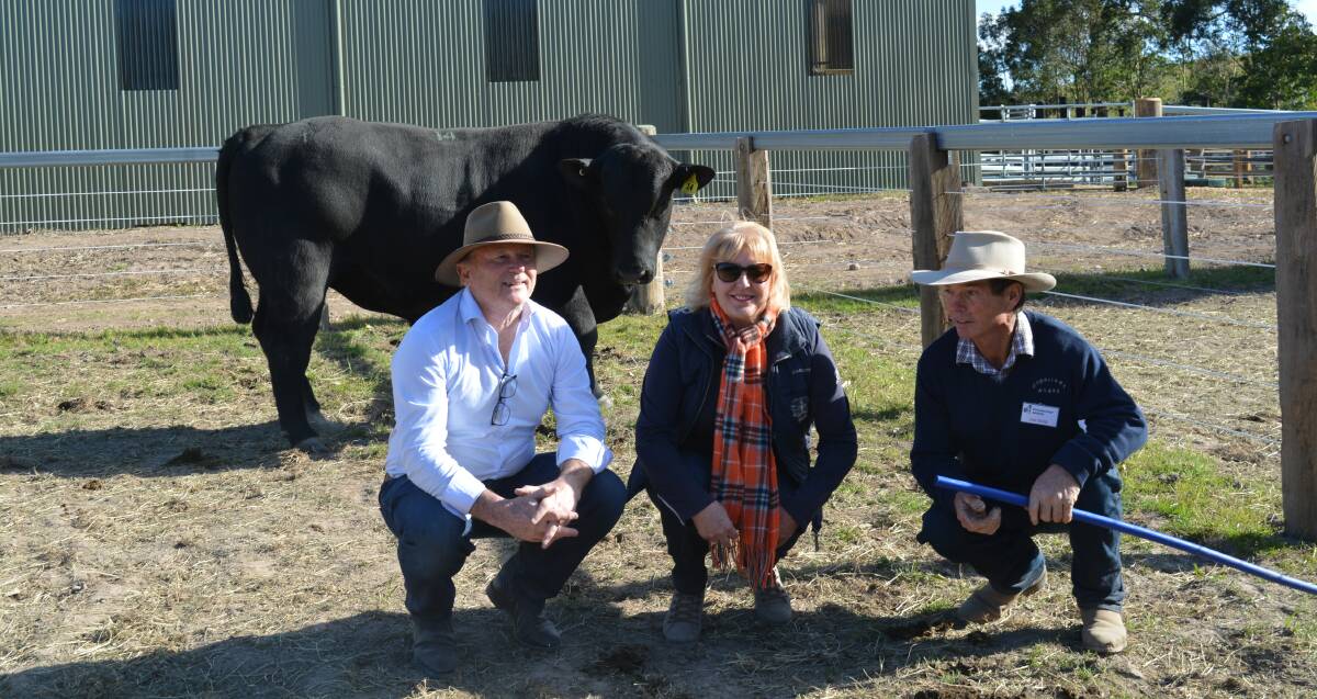 John and Pam Farragher, Seaham, buyers of the $20,000 top-priced bull at the Sugarloaf Angus bull sale with stud principal, Jim Tickle.