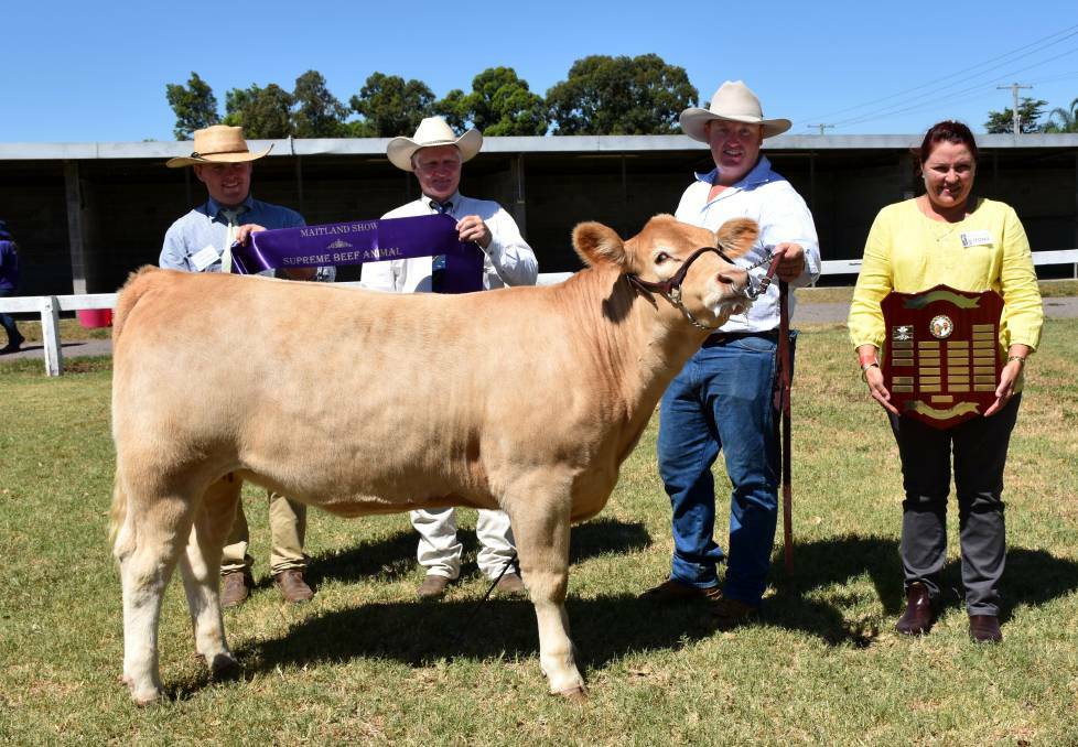 GIRL POWER: The supreme champion exhibit of the 2017 Maitland Show was Glenlea Charol pictured with judges Chad Williamson, Rob Maxwell, exhibitor Travis Worth, Tractor Charolais, Denman and Leonie Ball presents the Allan and Joan Ball Memorial Trophy.