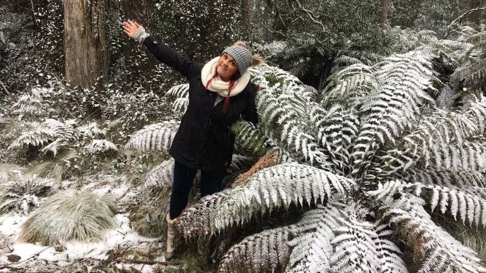 Pictures: Barrington Tops Snow Chasers