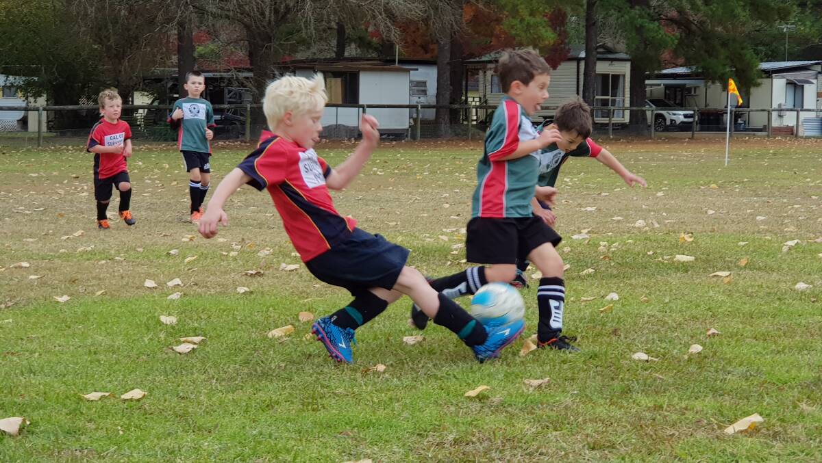 Gloucester Soccer Club's young players get into the action during last year's competition at Gloucester District Park. 