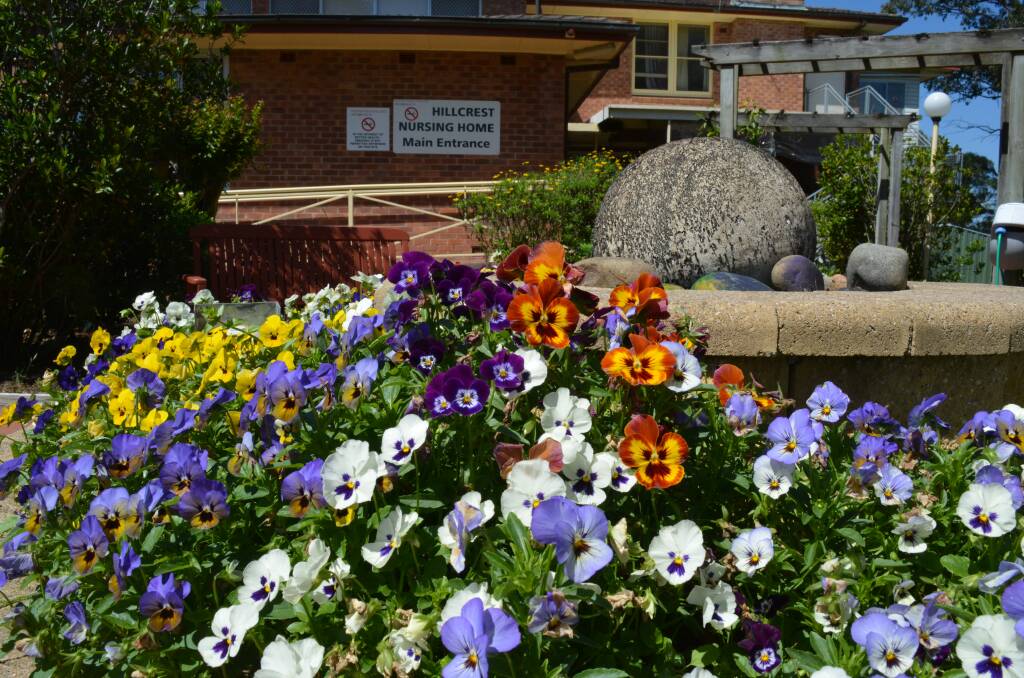 A sea of colour: The beautiful kept garden water feature at the entrance of Gloucester's Hillcrest Nursing Home. Photo: Anne Keen