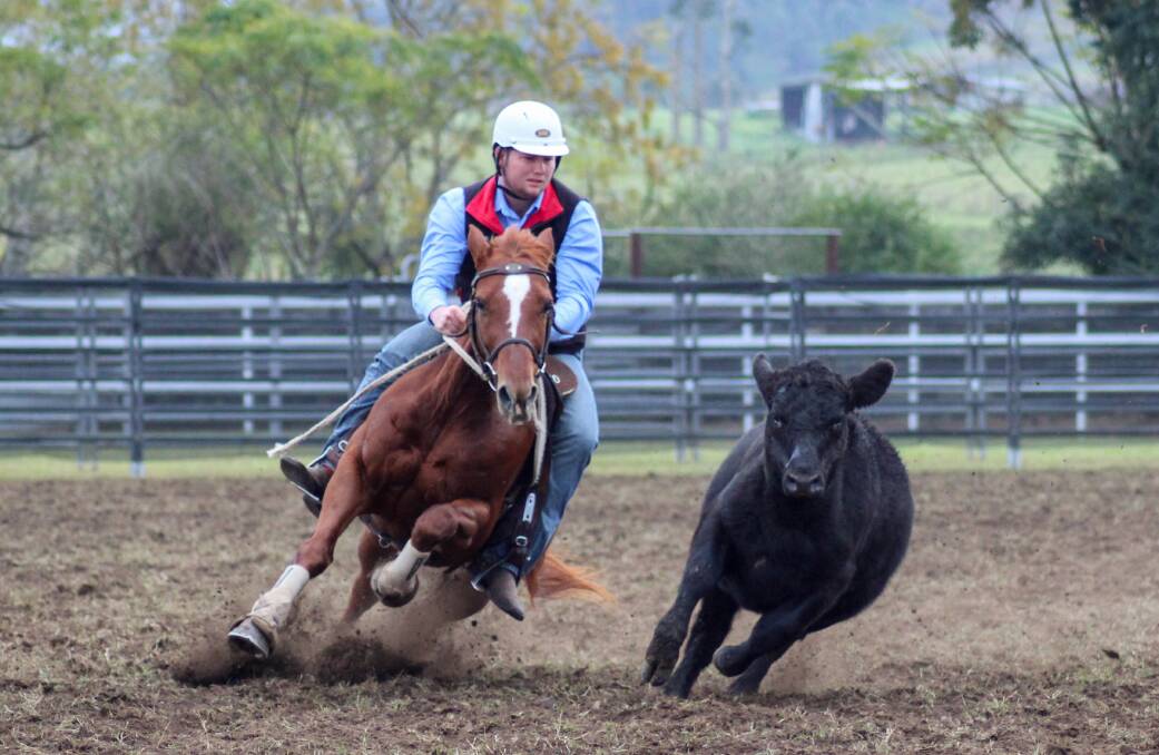 Gloucester campdraft 2021 overall winner Tyler Berkley from Inverell pictured during his run with horse, Quinton. Photo Logan Berkley