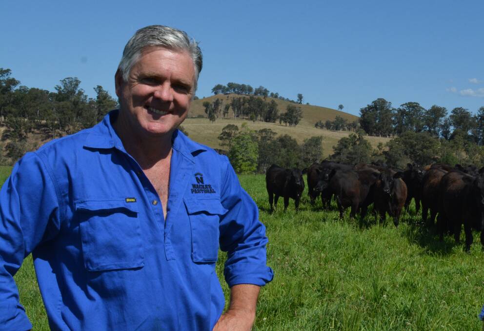 Robert Mackenzie with some his black angus cattle on one of the beef farms in Gloucester. Photo Anne Keen