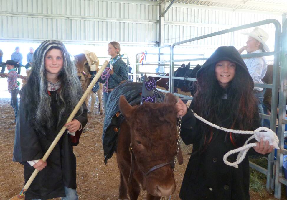 A bit of a Halloween theme with Emily Beggs and Summer Edwards dressed up as witches for the cattle dress up competition. Photo supplied