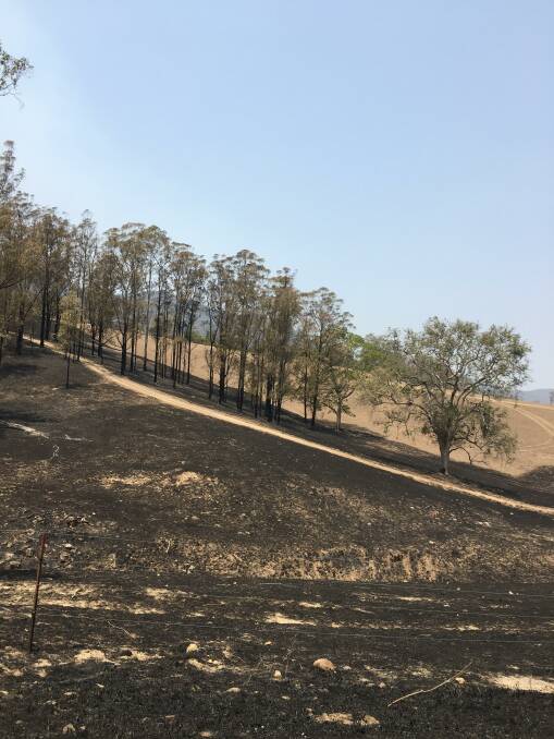 The fire has burnt parts of Kim Wiesner's land. Photo supplied.