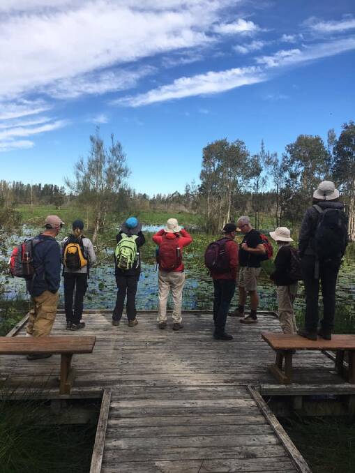 Gloucester Environment Group walkers at the Cattai wetlands. Photo supplied