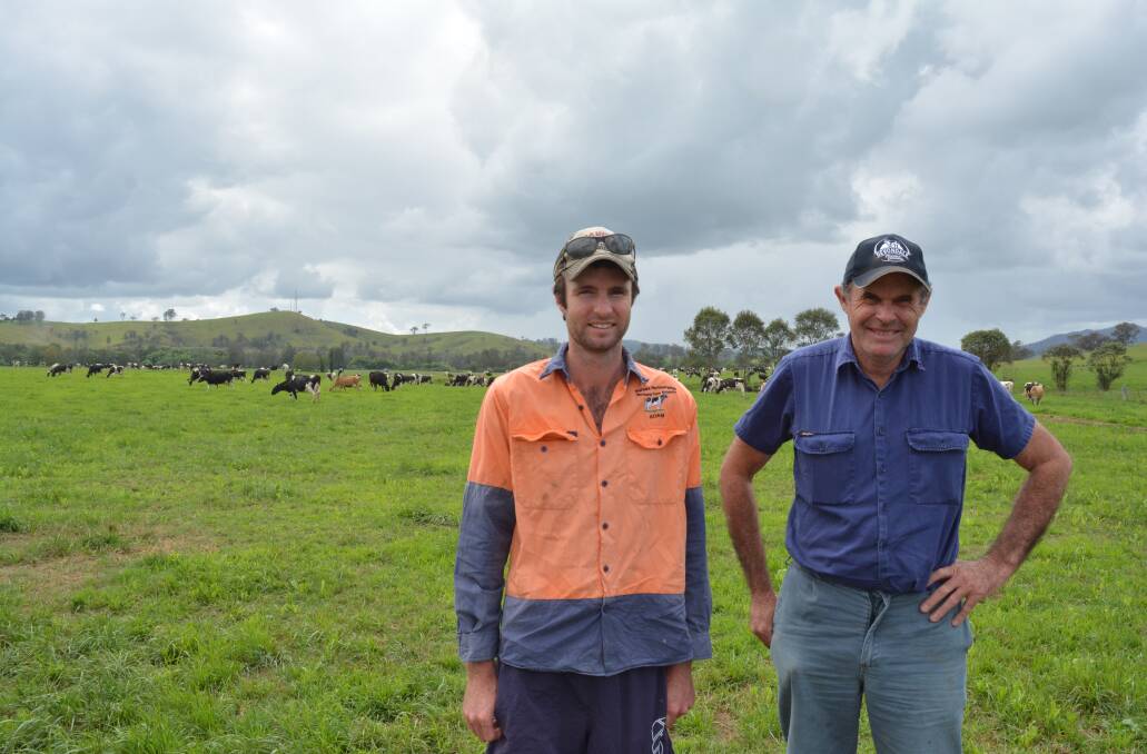 The grass is greener: Adam and Graham Forbes are looking forward to the efficiency of the new dairy. Photo: Anne Keen