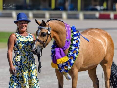 Donna Murray with Kaluda Park Hugs and Kisses at the Canberra Show. Photo by Little More Grace Photography