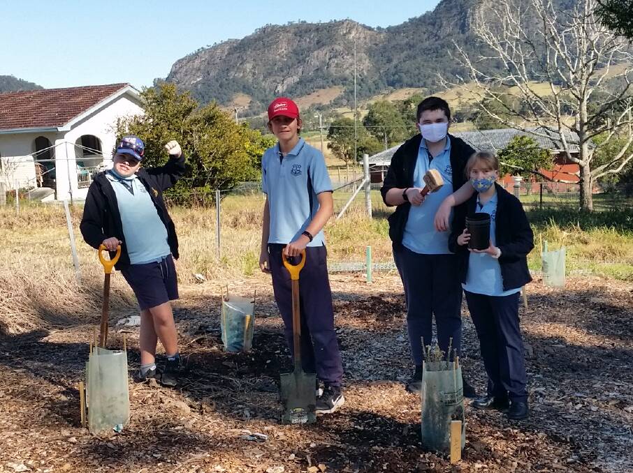 Henry Greenham, Ed Hollingsworth, Jaxon Griffis-Powick and Kourtney Maslen have been planting trees. Photo supplied
