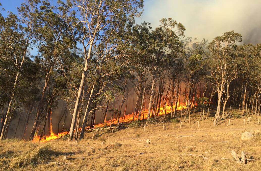 Fire near the Stroud Hill Road, north of Stroud on Friday afternoon. Photo supplied