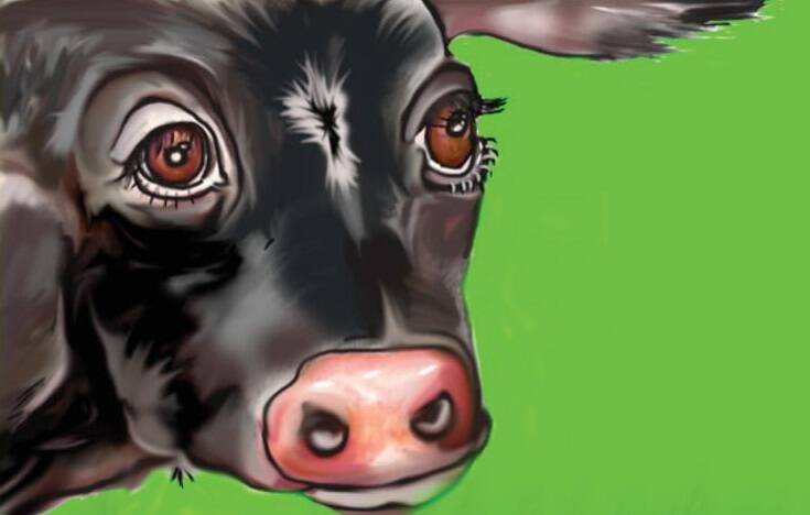 Hardy, the cow is the main character in Dianne Pope's storybook. 