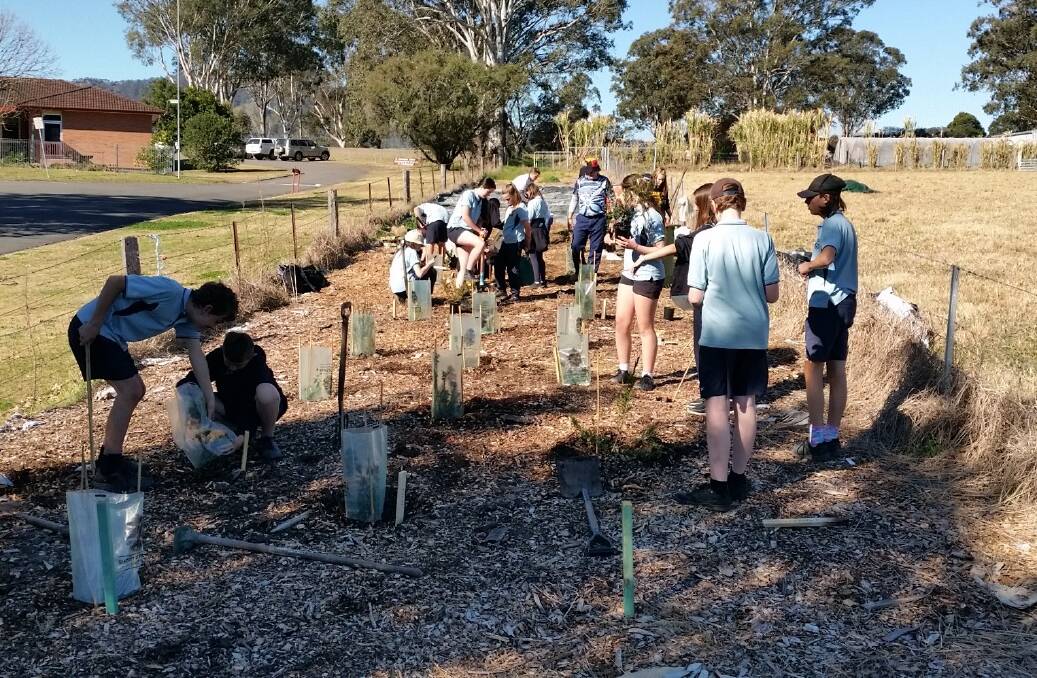 Students at GHS have been busy planting tree around the school grounds. Photo supplied