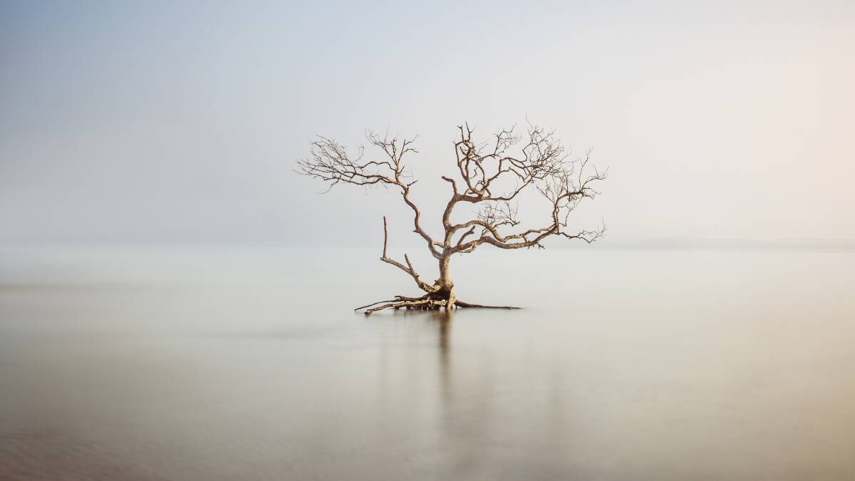Sarah-Jayne Eggins' photograph Serenity took out the top prize in the 2020 Pix from the Stix competition. 