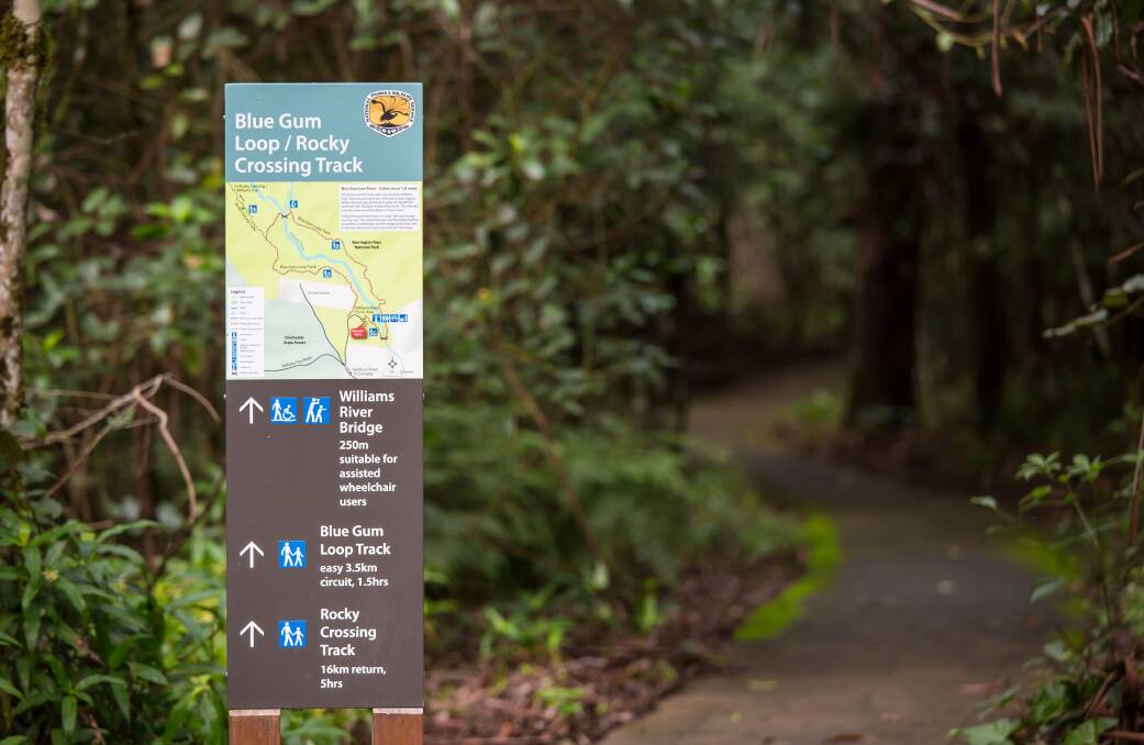 Wheelchair accessible walking tracks at Blue Gum Loop Trail in Barrington Tops National Park. Photo courtesy of National Parks and Wildlife Service